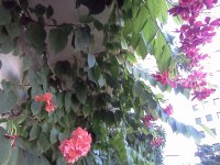 balcony in ramat-gan