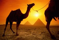 MONA.Egipto