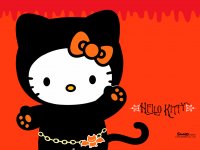 gatita kitty