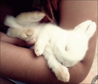 Meu nenen *-*