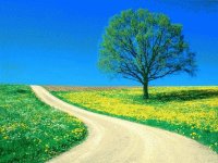 MONA.Arbol