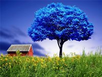 MONA.Arbol Azul