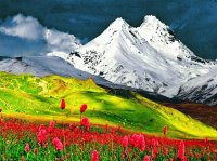 MONA.Paisaje