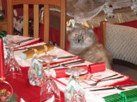 Chloe s Christmas Dinner