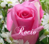 Rocío