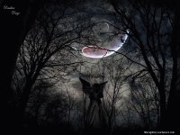 Noche oscura