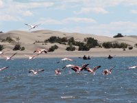 Caleta en la Provincia de Río Negro. Argentina