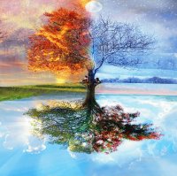 Natureza