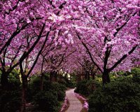 Natureza