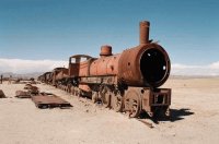 MONA.Tren