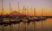 Marina da Horta - Açores