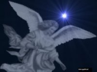 angel