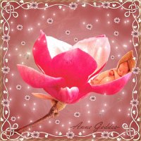 boccioli