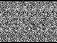 ILUSION