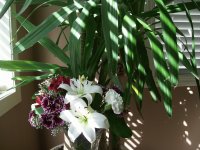 flower 9