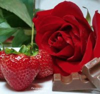 Fresa y la rosa