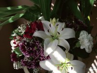 flower 11