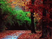 Nature 141