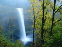 Nature 148