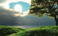 Nature 180