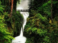 Nature 18