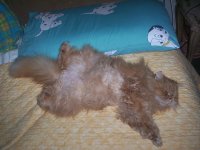 billina