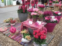 Keukenhof Gardens Display, Netherlands