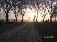 sol bajo