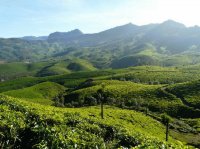 Munnar