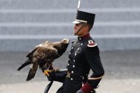 Cadetes cetreria colegio militar México