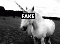 horses *.* ♥