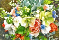 Flores maravillosas