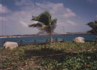 Aruba playa
