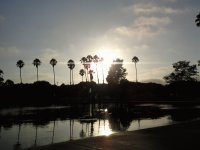 ATARDECER DE ALONDRA PARK