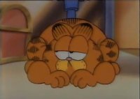 GARFIELD