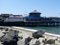 MUELLE