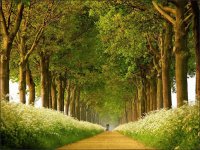 road