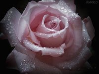 052