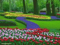 JARDINES