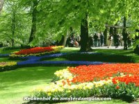 JARDINES