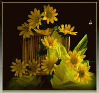 flores