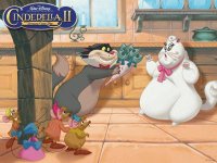 CATS