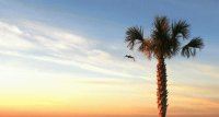 1/30/12 Gulf Shores