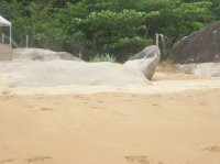 Praia da Fome (Ilha Bela-SP)