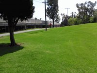 PARK