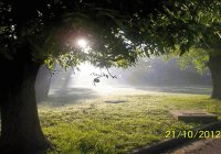 mañana con neblina