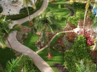 Ritz Carlton:  Puerto Rico