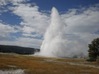 Old Faithful