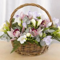 flores