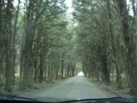 cruce de murta carretera austral sur